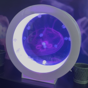 Acuario O50 (50 Litros) - Imagen 4